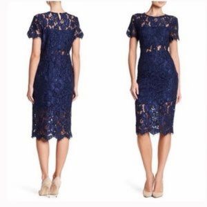 NSR navy peakaboo lace dress